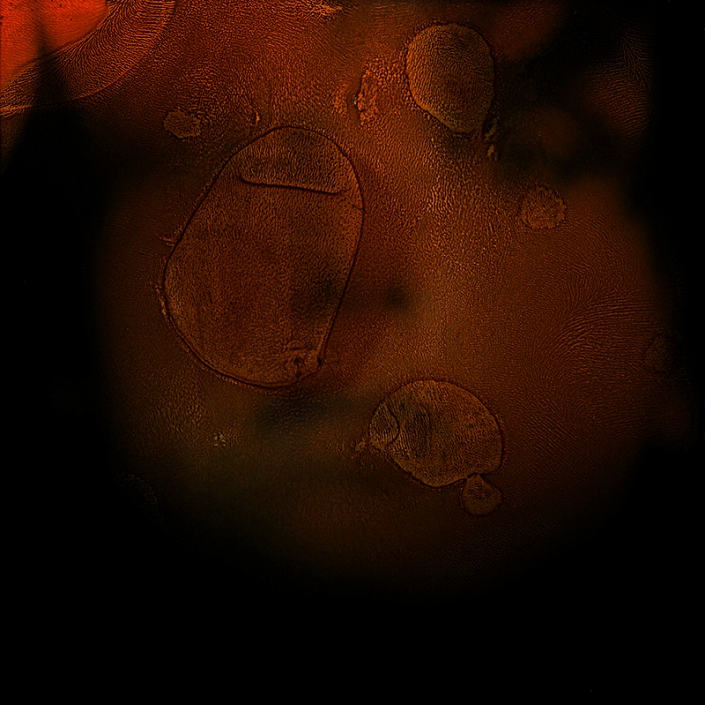 Luigi Viscido - Polaroid: Nebula